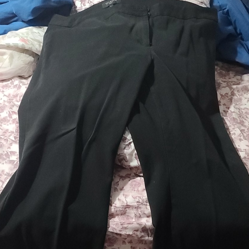 Dress pants